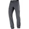 Salomon Wayfarer Pants Homme