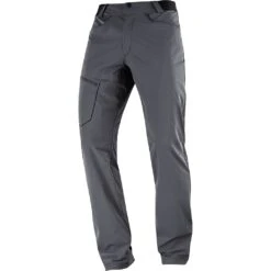 Salomon Wayfarer Pants Homme