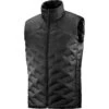 Salomon Outline Down Vest Homme -Patagonia Vestes Soldes main LC1843500 0 GHO outlinedownvest deepblack outdoor m c33f